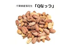 千葉県産落花生「Qなっつ」