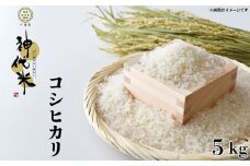 神代米 （ コシヒカリ ） 精白米 5kg ／ 米 お米 こめ コメ