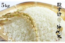 神代米 （ 粒すけ ） 精白米 5kg ／ 米 お米 こめ コメ