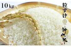 神代米 （ 粒すけ ） 精白米 10kg ／ 米 お米 こめ コメ