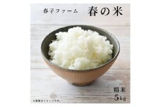 ＼令和6年産 / 春子ファーム 春の米 精米 5kg 安心安全 米 こめ お米 おこめ 白米 はくまい コメ ごはん ご飯 千葉県 東庄町