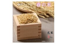 ＼令和6年産／ 春の米 玄米／ 5kg 