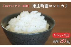 定期便（3回）【お米マイスター厳選】東庄町産コシヒカリ（ 精米 ） 10kg ／ コシヒカリ 米 コメ お米 ごはん お米マイスター 定期便 3回
