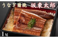 うなぎ　坂東太郎　蒲焼　1尾 ／ うなぎ 鰻 ウナギ 蒲焼 蒲焼き 坂東太郎 国産 千葉県 東庄町 送料無料