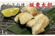 うなぎ　坂東太郎　白焼　1尾 ／ うなぎ 鰻 ウナギ 蒲焼 白焼 白焼き 坂東太郎 国産 千葉県 東庄町 送料無料