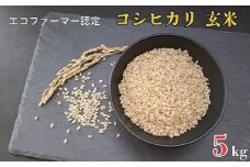 令和7年産 新米　【エコファーマー認定】 コシヒカリ 玄米 5kg ／ 米 こめ コメ ごはん ご飯 お米 おこめ 玄米 新米 エコファーマー認定 5kg 令和7年 千葉県 東庄町 産地直送
