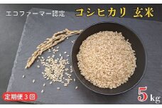 《定期便3ヶ月》令和7年産 新米　【エコファーマー認定】 コシヒカリ 玄米 5kg ／ 米 こめ コメ ごはん ご飯 お米 おこめ 玄米 新米 エコファーマー認定 5kg  定期便 令和7年 千葉県 東庄町 産地直送