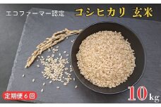 《定期便6ヶ月》令和7年産 新米　【エコファーマー認定】 コシヒカリ 玄米 10kg ／ 米 こめ コメ ごはん ご飯 お米 おこめ 玄米 新米 エコファーマー認定 10kg 定期便 令和7年 千葉県 東庄町 産地直送