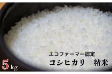 令和7年産 新米【エコファーマー認定】 コシヒカリ 白米 5kg ／ 米 こめ コメ ごはん ご飯 お米 おこめ 精米 白米 新米 エコファーマー認定 5kg 令和7年 千葉県 東庄町 産地直送