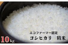 令和7年産 新米【エコファーマー認定】 コシヒカリ 白米 10kg ／ 米 こめ コメ ごはん ご飯 お米 おこめ 精米 白米 新米 エコファーマー認定 10kg 令和7年 千葉県 東庄町 産地直送