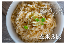 ＼令和6年産／ 春の米 玄米／3kg 