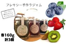フレキシー手作りジャム 3種セット（いちご・ブルーベリー・キウイフルーツ）／各160g 計3個 計480g 