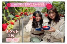 【磯山観光いちご園】いちご狩り30分食べ放題チケット2枚 いちご 苺 イチゴ 体験チケット いちご狩り 果物狩り 体験 イベント 千葉県 東庄町