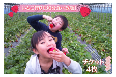 【磯山観光いちご園】いちご狩り30分食べ放題チケット4枚 いちご 苺 イチゴ 体験チケット いちご狩り 果物狩り 体験 イベント 千葉県 東庄町