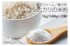 【春の米】コシヒカリの米粉 1kg （500g×2袋） 米粉 こめこ コシヒカリ 安心 安全 国産 健康 グルテンフリー 調味料 千葉県 東庄町