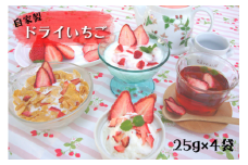 【磯山観光いちご園】自家製ドライいちご 100g 25g×4袋 手作り いちご 苺 イチゴ ドライフルーツ 無添加 国産 果物 フルーツ 千葉県 東庄町