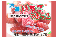 冷凍完熟いちご「つぶっこ」 2kg いちご 苺 冷凍 完熟 イチゴ ストロベリー  冷凍 シャーベット アイス デザート 果物 甘い 酸味 フレッシュ 完熟いちご スムージー 氷苺 まるごと 千葉県 東庄町