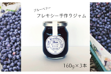 フレキシー手作りジャム【ブルーベリー】160g×3本 計480g 