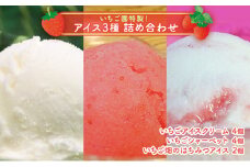 浜いちごのアイスクリーム・シャーベット・いちご畑のはちみつアイスの詰合せ [№5743-0048]