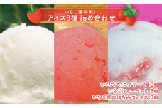 浜いちごのアイスクリーム・シャーベット・いちご畑のはちみつアイスのたっぷり詰合せ [№5743-0073]