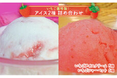 浜いちごのアイスクリーム・シャーベット詰合せ [№5743-0074]