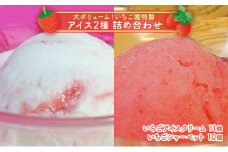 浜いちごのアイスクリーム・シャーベットたっぷり詰合せ [№5743-0075]