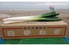 白砂ねぎ　LLサイズ　約5kg [№5743-0099]