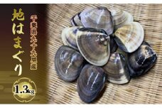 はまぐり 千葉 九十九里産 地はまぐり 1.3kg カネヨン水産 貝 海鮮 海産物 海の幸 魚介 魚介類 水産 水産物 はまぐり鍋 バーベキュー BBQ お吸い物 国産 ハマグリ 蛤 産地直送 冷蔵 冷蔵配送 千葉県 九十九里 九十九里町 [№5743-0106]