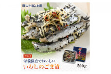 惣菜 いわし こはだ 計1kg ごま漬 詰め合わせ セット カネヨン水産 おかず 食べ比べ おつまみ つまみ 酒の肴 漬け魚 漬魚 魚 海産物 海の幸 魚介 魚介類 水産 水産物 郷土料理 ご当地 ご当地グルメ かたくちいわし 冷蔵 冷蔵配送 千葉 九十九里 [№5743-0107]
