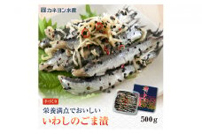 惣菜 いわし こはだ 計1kg ごま漬 詰め合わせ セット カネヨン水産 おかず 食べ比べ おつまみ つまみ 酒の肴 漬け魚 漬魚 魚 海産物 海の幸 魚介 魚介類 水産 水産物 郷土料理 ご当地 ご当地グルメ かたくちいわし 冷蔵 冷蔵配送 千葉 九十九里 [№5743-0107]
