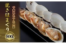 千葉県九十九里産 焼きはまぐり 800g 魚介類 貝類 魚貝類 はまぐり 蛤[№5743-0135]