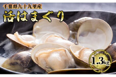 はまぐり 千葉 九十九里産 活はまぐり 1.3kg 貝 海鮮 海産物 海の幸 魚介 魚介類 水産 水産物 はまぐり鍋 バーベキュー BBQ お吸い物 国産 ハマグリ 蛤 産地直送 冷蔵 冷蔵配送 千葉県 九十九里 九十九里町 [№5743-0156]
