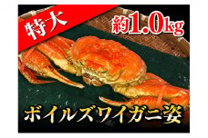 特大ボイルズワイガニ姿　約1.0kg 　送料無料 [№5743-0163]