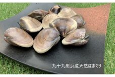 はまぐり 千葉 九十九里産 天然はまぐり 1.5kg 貝 海鮮 海産物 海の幸 魚介 魚介類 水産 水産物 はまぐり鍋 バーベキュー BBQ お吸い物 国産 天然 ハマグリ 蛤 絶品九十九里の”味” 産地直送 冷蔵 冷蔵配送 千葉県 九十九里 九十九里町 [№5743-0232]