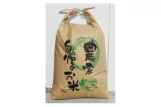 まなびファーム　令和6年産新米5kgコシヒカリ [№5743-0278]