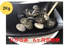 ♯定期便6か月毎月届く　食べたら止まらないやつ九十九里浜の“ながらみ“2kg入り [№5743-0289]
