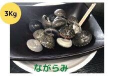 食べたら止まらないやつ九十九里浜の“ながらみ“3kg入り [№5743-0291]