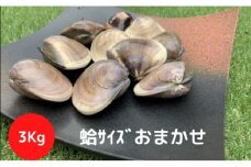 地元漁師が厳選！”天然蛤”ご注文時お勧めサイズお任せセット3kg入り [№5743-0295]