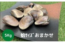地元漁師が厳選！”天然蛤”ご注文時お勧めサイズお任せセット5kg入り [№5743-0296]