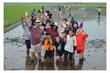 【先行予約】田植え体験・稲刈り体験パック型コース [№5743-0405]