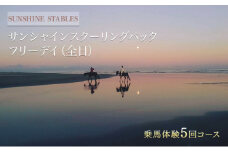 乗馬 千葉 SUNSHINE STABLES フリーデイ（全日） 体験 チケット サンシャインスクーリングパック 馬 アクティビティ アウトドア スポーツ ギフト券 券 体験チケット 旅行 千葉県 九十九里 九十九里町 [№5743-0412]