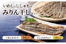 みりん干セット（いわし・ししゃも） みりん干し カタクチイワシ イワシ シシャモ 詰合せ 干物 ひもの 開き おかず おつまみ 魚 海鮮 お土産 手土産 九十九里沖 千葉県[№5743-0493]