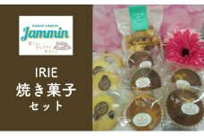 お菓子 IRIE焼き菓子セット マドレーヌ クッキー 洋菓子 焼き菓子 菓子 セット スイーツ おやつ チョコ バター プレゼント 手土産 九十九里町 千葉県 [№5743-0496]