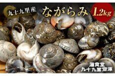 ながらみ　1.2キロ 魚介類 貝類 貝 海の幸 海鮮 幻の貝 冷凍 おつまみ 国産 名産物 九十九里 千葉県 [№5743-0516]