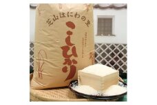 ＜令和6年産＞芝山町産コシヒカリ5kg(精米)【1059574】