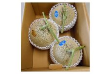 ＜空の駅 風和里しばやま＞メロン箱詰め(3～4個入り)計約5kg【1059581】