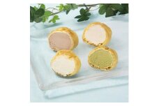 洋菓子のヒロタ シューアイス 詰め合わせ 1個43ml×25個入【1135494】