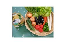 旬野菜の詰め合わせ　「大地の恵みセット」5～6種+コシヒカリ2kg＜令和6年産＞【1059573】