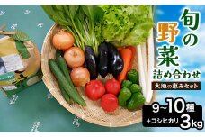 旬野菜の詰め合わせ　「大地の恵みセット」9～10種+コシヒカリ3kg＜令和6年産 ＞【1059582】