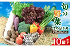旬野菜の詰め合わせ　「大地の恵みセット」　10種以上【1071786】